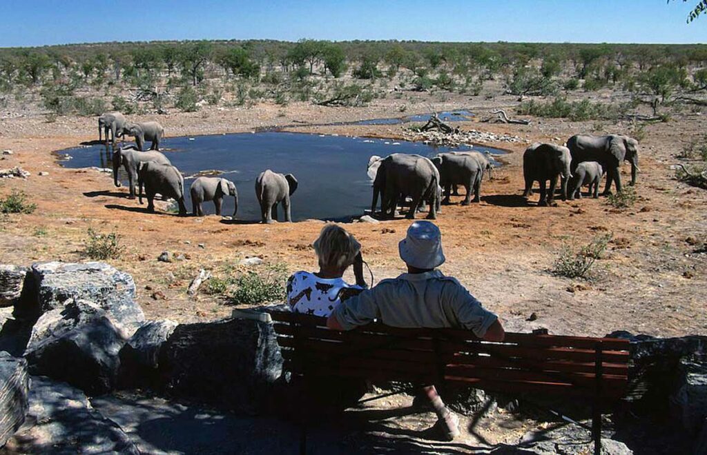 Etosha Safari Tour